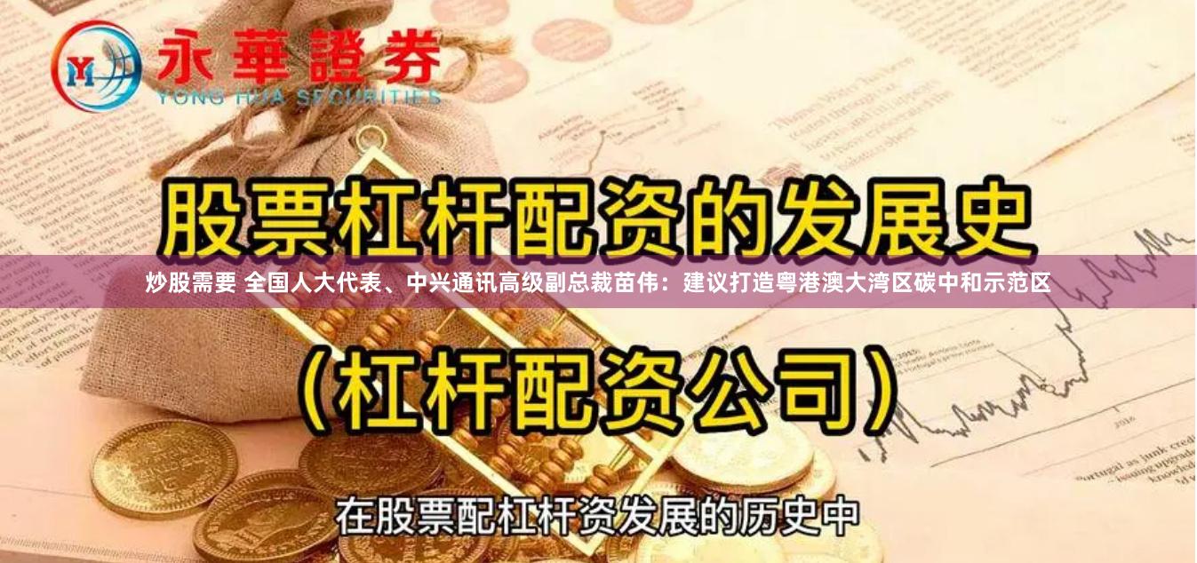 炒股需要 全国人大代表、中兴通讯高级副总裁苗伟：建议打造粤港澳大湾区碳中和示范区