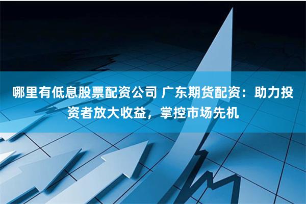 哪里有低息股票配资公司 广东期货配资：助力投资者放大收益，掌控市场先机