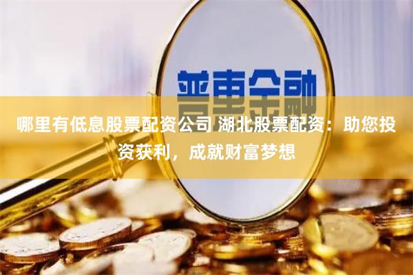 哪里有低息股票配资公司 湖北股票配资：助您投资获利，成就财富梦想
