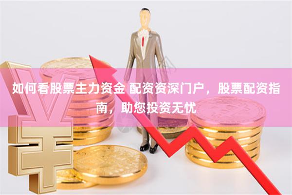 如何看股票主力资金 配资资深门户，股票配资指南，助您投资无忧